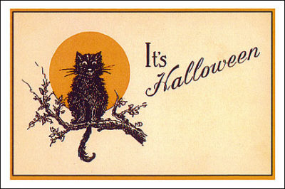 PCD175 Halloween Cat