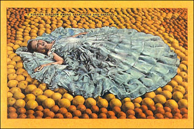 QP113 Lady on Oranges