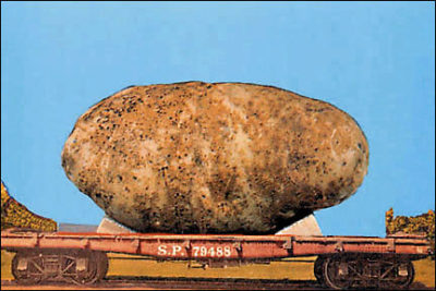 QP1 Big Potato