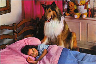 QP61 Collie and Girl