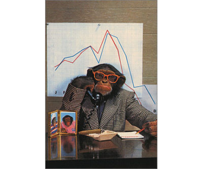 QP92 Business Chimp