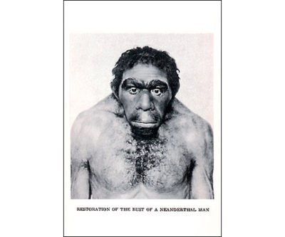 QP697 Neanderthal