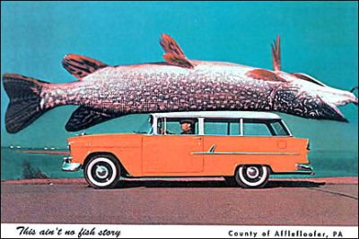 QP853 This Ain't No Fish Story (Car) EXAGGERATE