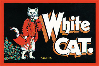 QP1170 White Cat ANIMAL