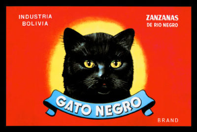 QP1287 Gato Negro CAT ANIMAL