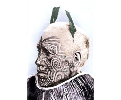 QP1300 Maori Man