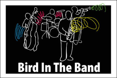 RMP65 Bird in the Band - Sound Color MUSIC