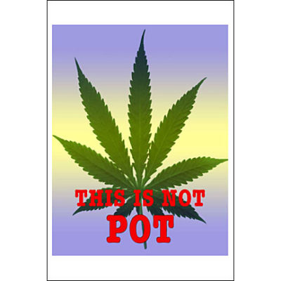 RMP128 Not Pot