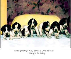 HB1430 Puppies Greeting Card ANIMAL