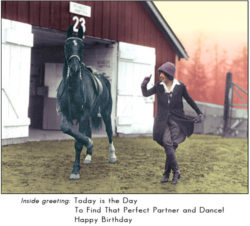 HB7865 One Trick Pony Greeting Card HORSE ANIMAL