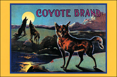 SF102 Coyote Brand CRATE LABEL