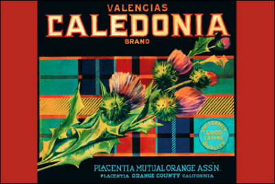 SF1143 Caledonia CRATE LABEL