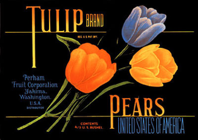 SF137 Tulip CRATE LABEL