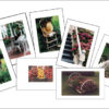 TYF1 Flowers & Fences