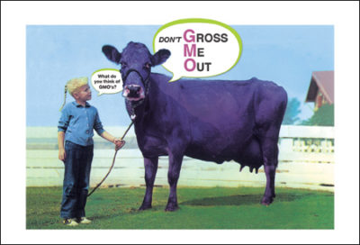 QP1202 GMO Purple Cow ANIMAL