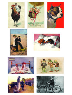 LPC-Animals (set of 9 postcards)