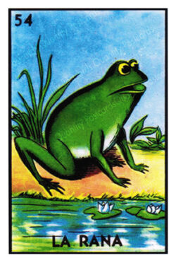 QP592 La Rana (LOTERIA LATINO), Frog