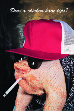 QP753 Does A Chicken Have Lips? Smoking Chicken COMIC
