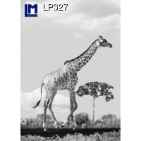 LP327 EIFFEL TOWER CHANGES TO GIRAFFE 3D Animated Postcard (Paris, France, Animal)