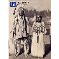 CS227 NATIVE AMERICAN 3D Postcard (Art)