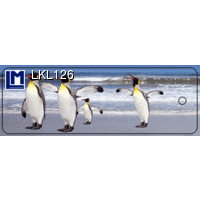 LKL126 PENGUIN Bookmark Animal