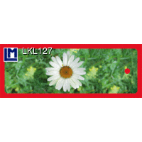 LKL127 OXEYE DAISY Bookmark Flower