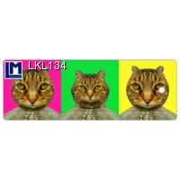 LKL134 CATS Bookmark animal