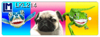 LKL214 SMILING ANIMALS ( ANIMALS ) TURTLE, DOG Bookmark