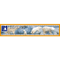 EEKL125 POLAR BEARS Ruler