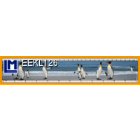EEKL126 PENGUIN Ruler