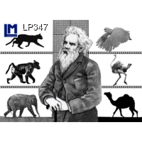 LP347 MUYBRIDGE, ANIMALS Postcard