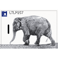 LTLP257 ELEPHANT Luggage Tag Animal